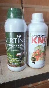 PUPUK TERBAIK: KNO3 PREMIUM & VERTINE Grow Pupuk Kalsium Anakan Padi