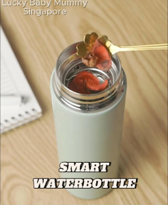 Smart LED Temperature Display Macaron Thermal Bottle with Insulated Bottle Cup Waterbottle / Water Bottle / Flask /RainbowCulture