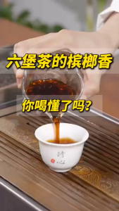 Tea/Liu Bao Tea【中茶多特利药香2000年二级茶】老茶系列 广西梧州六堡茶 40kg/萝