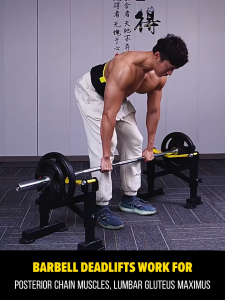 SellinCost Squat Wedge Block METAL (Pair) 20° Calf Block Slant Board Squat Foot Pad Leg Stretch Weightlifting Calf Raise Deadlift Heel Elevated Pad Kaki Barangan Gym SFP122 金属深蹲楔形块