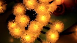 12M Solar 100LED String Fairy Light Party Outdoor Christmas Decorate Garden Decoration