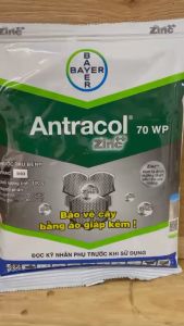 thuốc trừ bệnh ANTRACOL 70wp thuốc trừ bệnh thán thư sương mai đốm đen lở cổ rễ cháy bìa lá mốc xám rỉ sắt trên cây trồng