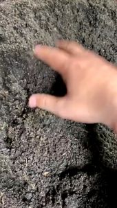 Tanah Subur Media Tanam Sayuran Cabe Bawang Buah Buahan Siap Pakai Pupuk Tanaman Tanah Subur Premium