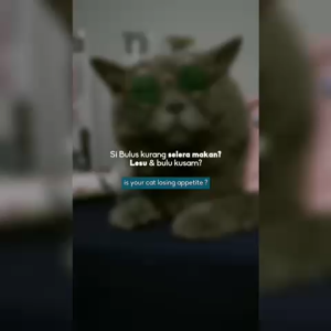 LaMons Immune Supports Gel ( Lickable Gel For Cats )