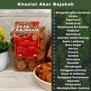 Akar Bajakah Merah Kalimantan Asli Herbal Bajakah Borneo Original (250GRAM)
