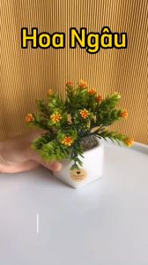 Hoa giả Chậu hoa Ngâu để bàn trang trí