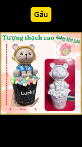 Tượng thạch cao Gấu ngồi cốc bỏng ngô M18 trang trí Tết (Không kèm màu) Bé Tô Màu Tô Tượng