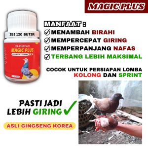 MAGIC PLUS JAWARA MERPATI ISI 120 BUTIR
