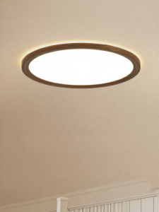 DGY | Retro Ultra-thin Vintage New Ceiling Light