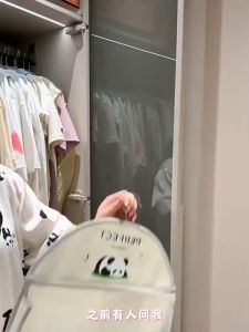 SERENITY 1pc Panda Pattern Hanging Bag Multi-Layer Closet Organizer For Socks Underwear Reinforced Hanging Design