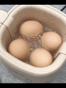 Han River เครื่องต้มไข่ สองชั้น เครื่องต้มไข่มัลติฟังก์ชั่น หน้าจอสัมผัส มี 6 โหมด วัสดุเกรดอาหาร