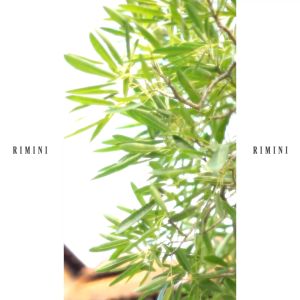 RIMINI - Atasan Wanita Tanktop Summer Putungan Motif Kekinian S-L - Ivy Top 82027