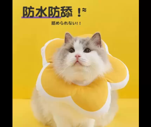 VÒNG CỔ THÚ CƯNG VÒNG CỔ LOA CHỐNG LIẾM CHO THỎ CHÓ MÈO BÔNG HOA DỄ THƯƠNG TỪ 0.5-5.5KG MÃ 10 CHO CHÓ MÈO THỎ