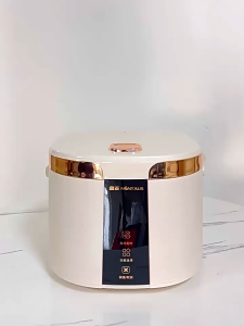 Nồi cơm điện 220v Lõi nồi inox 5 Lít Nấu cơm siêu ngon an toàn cho sức khỏe