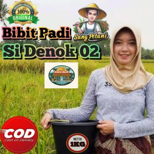 (1KG) Bibit padi SIDENOK 02 Benih Super Unggul Berkualitas