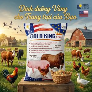 Goldking USA1kg (Hoa Kỳ) – Siêu Tăng Trọng Giúp Vật Nuôi Lớn Nhanh Tiết Kiệm Chi Phí
