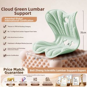 Brezor | Ergonomic Waist Cushion Posture Correction