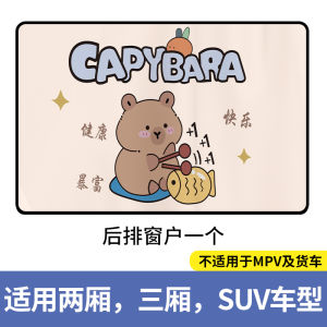 Auto Abat Vent Magnetic Suction Side Window Car Shade Cloth Sun Protection Thermal Shroud Kids Cartoon Car Baffle Curtain