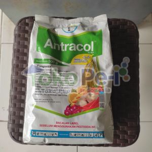 Fungisida Antracol 70WP 500g