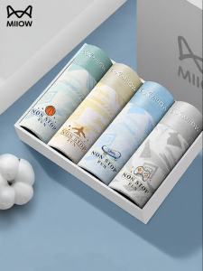 MiiOW | Anti-bacterial Breathable Comfort Boys Underwear