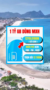SIM 4G Vinaphone 12YOLO100M Tặng 1 Tỷ GB Full Data Tốc Độ Cao Xem Y0utubi Tictoc Fabook - Mua 1 Lần Dùng 12 Tháng Liên Tiếp | FREESHIP - CHƯA KÍCH HOẠT.