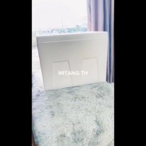 กล่องลังโฟม 20 กิโลกรัม Box 20 KG กล่องใหม่ New Box