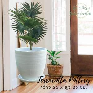 กระถางต้นไม้ทำจากดินเผาทาสี ขนาด 10 นิ้ว (25x25ซม.) พร้อมจานรอง มี 3 สีให้เลือก ใช้งานภายใน ภายนอกได้ค่ะ