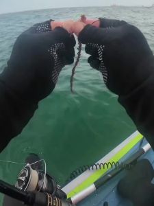 Squid Multi-Effect Fishing LiquidSpecially DesignedQuickly Stimulate Squid Hunger Professional Fishing Liquid Squid Lure