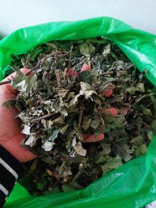 Dun keji beling kering 250 gram