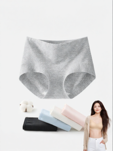 Secret World | Cotton Crotch Anti-bacterial Seamless Short Underwear