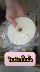 PDM-09 ใบพัดน้ำ BM ขนาด รู 10 มิล ปั๊มน้ำ ปั๊มไดโว่ ปั๊มเจ็ท ปั๊มหอยโข่ง ปั๊มดูดโคลน ปั๊มเปลือย ปั๊มแช