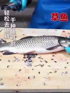 Mesin sisik ikan elektrik mesinbuang sisik ikan 24000 RPM Portable Cordless Electric Fish  Scaler 4000mAh Fisch Scale