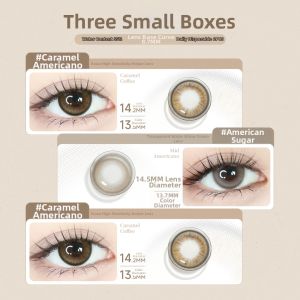 GLAM UP | Brown Color Glamorous Daily Contact Lenses 6 Pieces