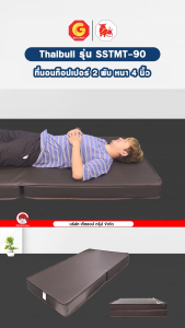 Thaibull ที่นอน เบาะเตียงนอนพับได้ เตียงหุ้มหนัง ขนาด 3 ฟุต หนา 4 นิ้ว รุ่น TNRMT4-90 (Brown)