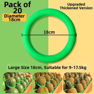MINGZHUO | Anti-slip Stabilizing Plastic Display Ring