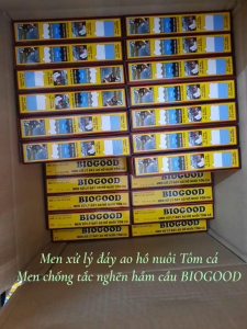 Men vi sinh tự hoại xử lý ao hồ Biogood gói lớn 300gr loại tốt