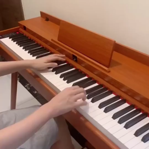 MINSINE High Quality 88 Key Full-Size Weighted Digital Piano with Bluetooth & Power Adapter MIDI Connectio for Beginners