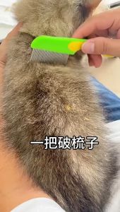Sisir Kutu Kucing Anjing Kelinci Hewan Peliharaan