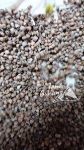 Mrica bolong 100gr atau Gelam - Jamu Merica Bolong