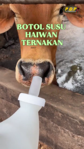 Milk Bottle Vertical Horizontal 2L 850ml Cattle Botol Susu Lembu Haiwan Ternakan Ruminan