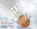 Victor Master 7 Badminton Shuttlecock Competition Series High Performance Wooden Shaft Duck Feather Ball for Sports Fitness Fans. 