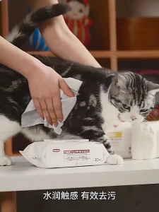 Single Pet - Original KOJIMA pet wipes for cleaning sterilization and non wash wet wipes (80pcs)