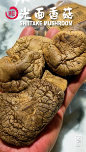SHIITAKE MUSHROOM - 湖北光面香菇 (5-6CM / 100g)