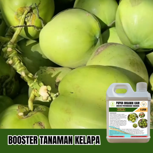 Pupuk Kelapa Booster Agar Cepat Berbuah Lebat Besar POC Pertumbuhan Komplit Anti Rontok