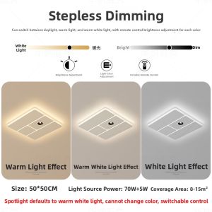Minimalist Creative Youth-oriented Ceiling Light