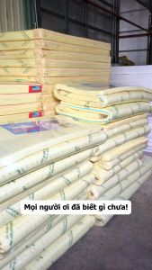 Nệm cao su non êm ái đủ size Nệm Nằm Cao Cấp Đàn Hồi Tốt Thông Minh ( Giao toàn nước )