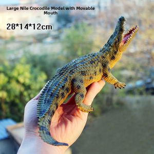 Educational Crocodile Species Model