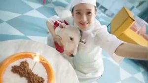 Máy In Ảnh Mini Xiaomi Mijia 1S Kết Nối Wifi App Mihome Bluetooth Chất Lượng full HD 1280p [TIME_MART siêu thị tiện íc