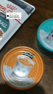 70g All Stages Kit Cat Kitcat Goat Milk Cat Wet Food Can Cat Essentials Kitten DR Pet Supplies