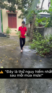 COMBO 2 Túi Tẩy Rong Rêu One Clean - Sản Phẩm Giúp Tẩy Sạch Hiệu Quả Cho Vệ Sinh Nhà Cửa Và Không Gian Sống